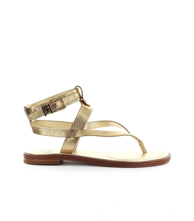 Shop Michael Kors Pearson Gold Thong Sandal In Pale Gold (gold)