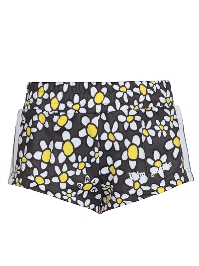 Shop Palm Angels Palm Daisies Short In Anthracite White