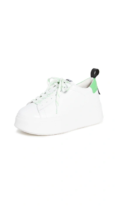 Shop Ash Moon Platform Sneakers In White/black/deep Green
