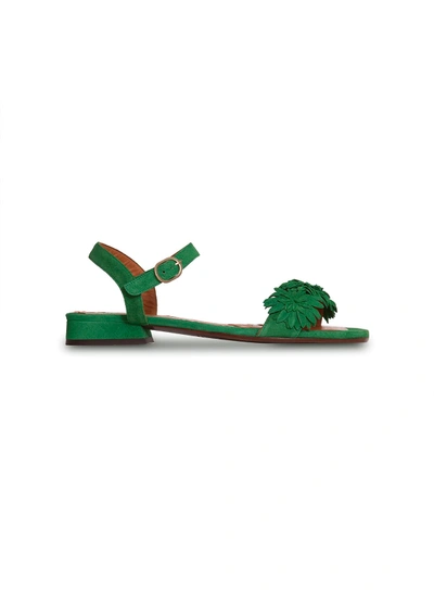 Shop Chie Mihara Talico Flat Sandals In Verde