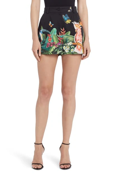 Shop Dolce & Gabbana Bird Print Stretch Silk Shorts In Black