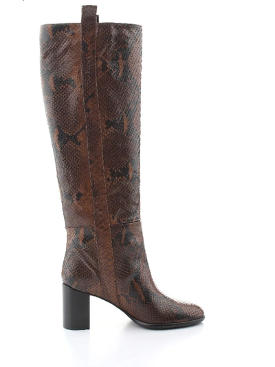 Shop Anna F Brown Leather Boots