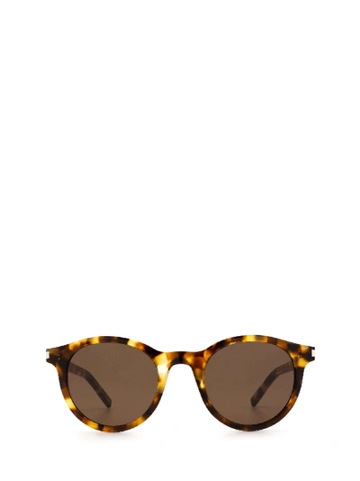 Shop Saint Laurent Sl342 Havana Sunglasses