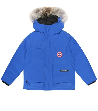 Shop Canada Goose Pbi Expedition Parka In Blue