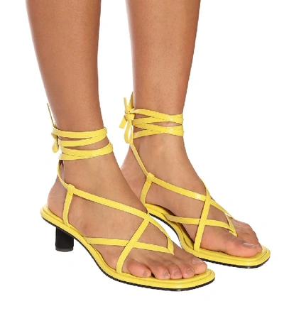 Shop Proenza Schouler Leather Sandals In Yellow