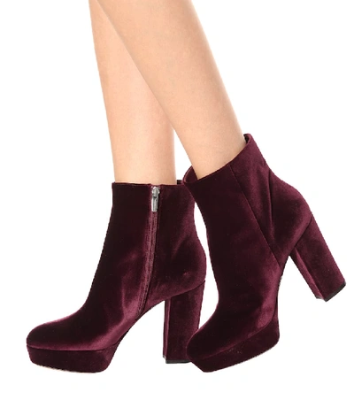 Shop Gianvito Rossi Exclusive To Mytheresa.com - Temple Velvet Platform Boots In Purple
