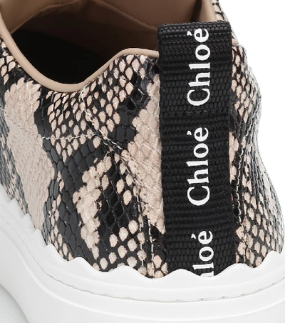 Shop Chloé Lauren Leather Sneakers In Grey