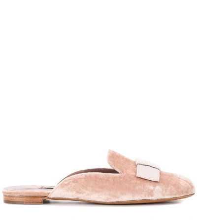 Shop Tabitha Simmons Masha Velvet Slippers In Pink