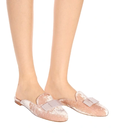 Shop Tabitha Simmons Masha Velvet Slippers In Pink