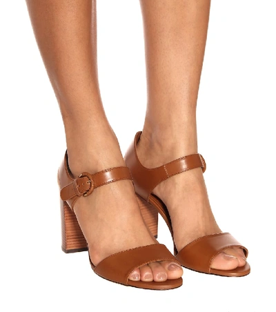 Shop Tod's Leather Sandals In Brown