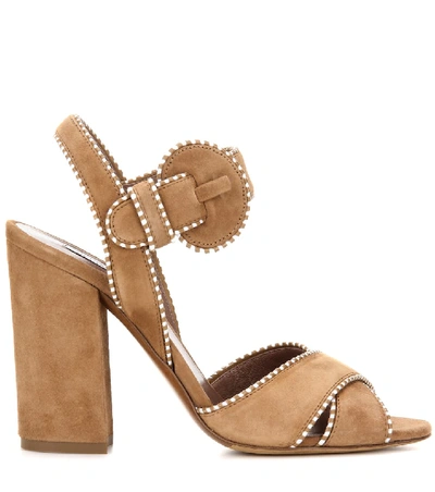 Shop Tabitha Simmons Andres Suede Sandals In Brown