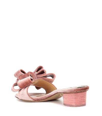 Shop Charlotte Olympia Velvet Slides In Pink