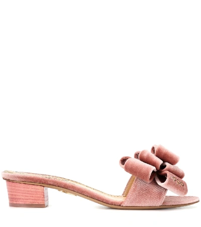 Shop Charlotte Olympia Velvet Slides In Pink
