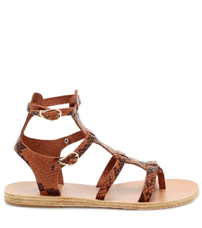 Shop Ancient Greek Sandals Stephanie Leather Sandals In Brown