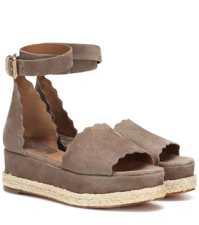 Shop Chloé Lauren Suede Platform Sandals In Brown