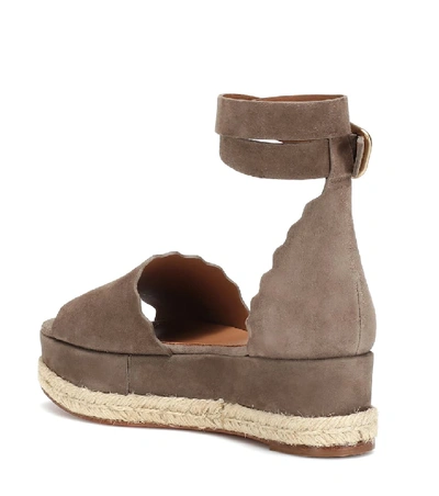 Shop Chloé Lauren Suede Platform Sandals In Brown