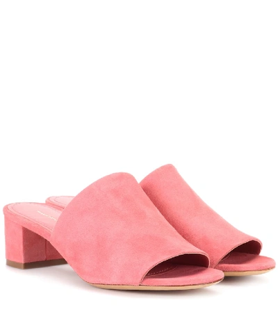 Shop Mansur Gavriel Suede Open-toe Mules In Pink