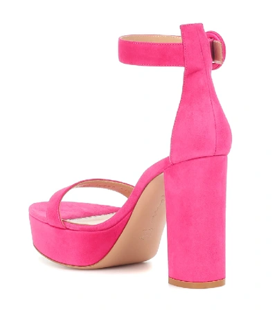 Shop Gianvito Rossi Suede Platform Sandals In Pink