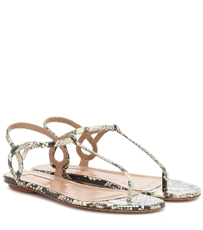 Shop Aquazzura Almost Bare Snakeskin Sandals In Beige