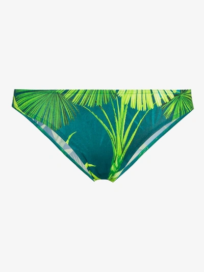 Shop Versace Jungle Print Bikini Bottoms In Green