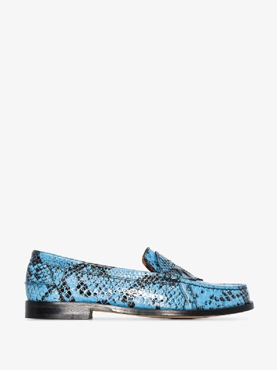 Shop Ganni Blue Patent Snake Print Leather Loafers In Black