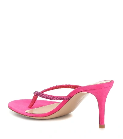 Shop Gianvito Rossi India 70 Suede Thong Sandals In Pink