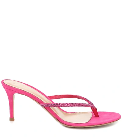 Shop Gianvito Rossi India 70 Suede Thong Sandals In Pink