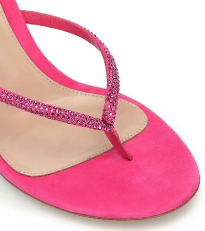 Shop Gianvito Rossi India 70 Suede Thong Sandals In Pink