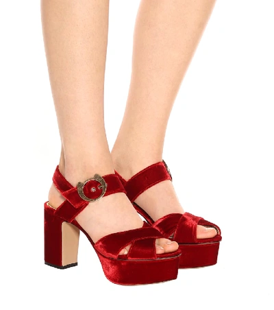 Shop Charlotte Olympia Aristocat 90 Velvet Plateau Sandals In Red