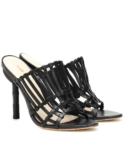 Shop Cult Gaia Ark Leather Sandals In Black