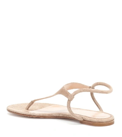 Shop Gianvito Rossi Anya Suede Thong Sandals In Brown