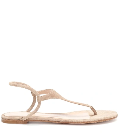 Shop Gianvito Rossi Anya Suede Thong Sandals In Brown