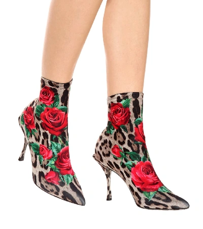 Shop Dolce & Gabbana Lori Printed Ankle Boots In Brown