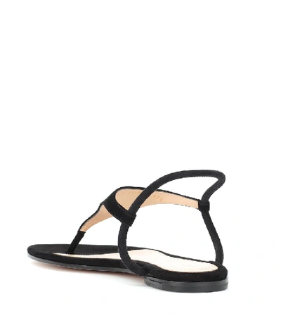 Shop Gianvito Rossi Anya Suede Thong Sandals In Black