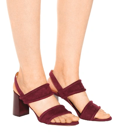 Shop Chloé Suede Sandals In Red