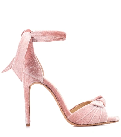 Shop Alexandre Birman Jessica Velvet Sandals In Pink