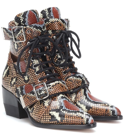 Shop Chloé Rylee Printed Leather Ankle Boots In Brown