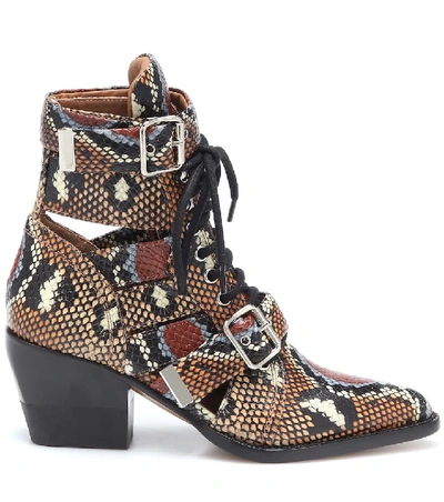Shop Chloé Rylee Printed Leather Ankle Boots In Brown