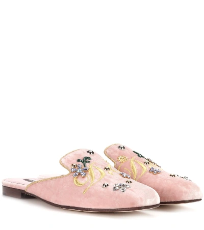 Shop Dolce & Gabbana Embellished Velvet Slippers In Pink