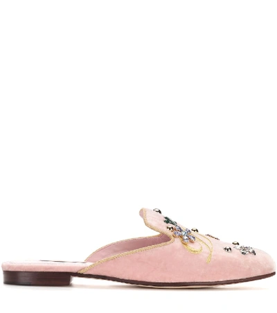 Shop Dolce & Gabbana Embellished Velvet Slippers In Pink