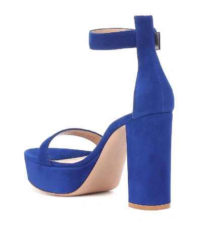 Shop Gianvito Rossi Suede Platform Sandals In Blue
