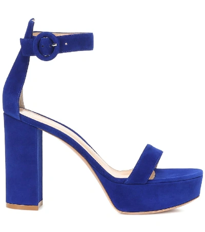 Shop Gianvito Rossi Suede Platform Sandals In Blue