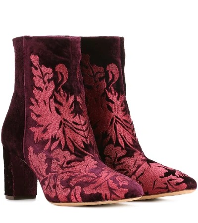 Shop Alexandre Birman Regina Embroidered Velvet Ankle Boots In Purple