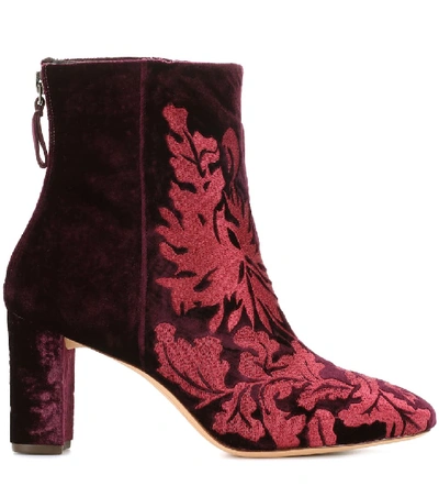 Shop Alexandre Birman Regina Embroidered Velvet Ankle Boots In Purple