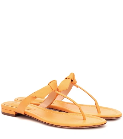 Shop Alexandre Birman Clarita Leather Sandals In Yellow