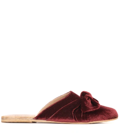 Shop Ancient Greek Sandals Pasoumi Bow Velvet Slippers In Red