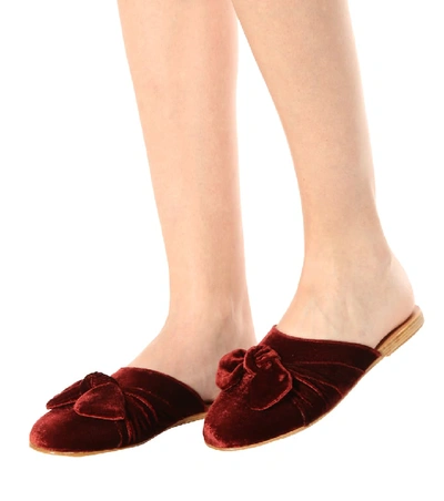 Shop Ancient Greek Sandals Pasoumi Bow Velvet Slippers In Red