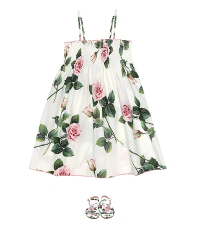Shop Dolce & Gabbana Floral Cotton-poplin Dress In White