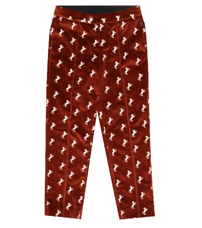 Shop Chloé Velvet Pants In Brown