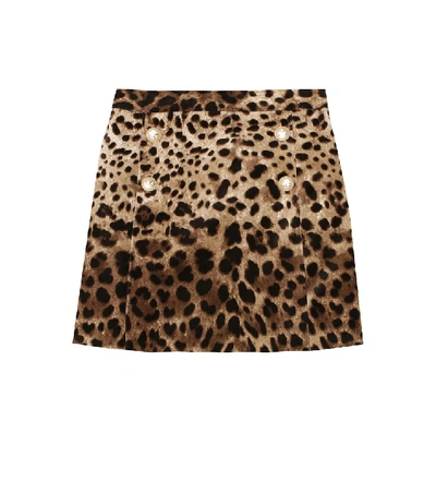 Shop Dolce & Gabbana Velvet Miniskirt In Brown